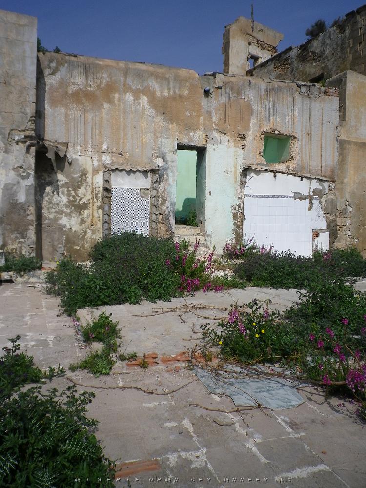 2007 Les Ruines d'une Maison.JPG